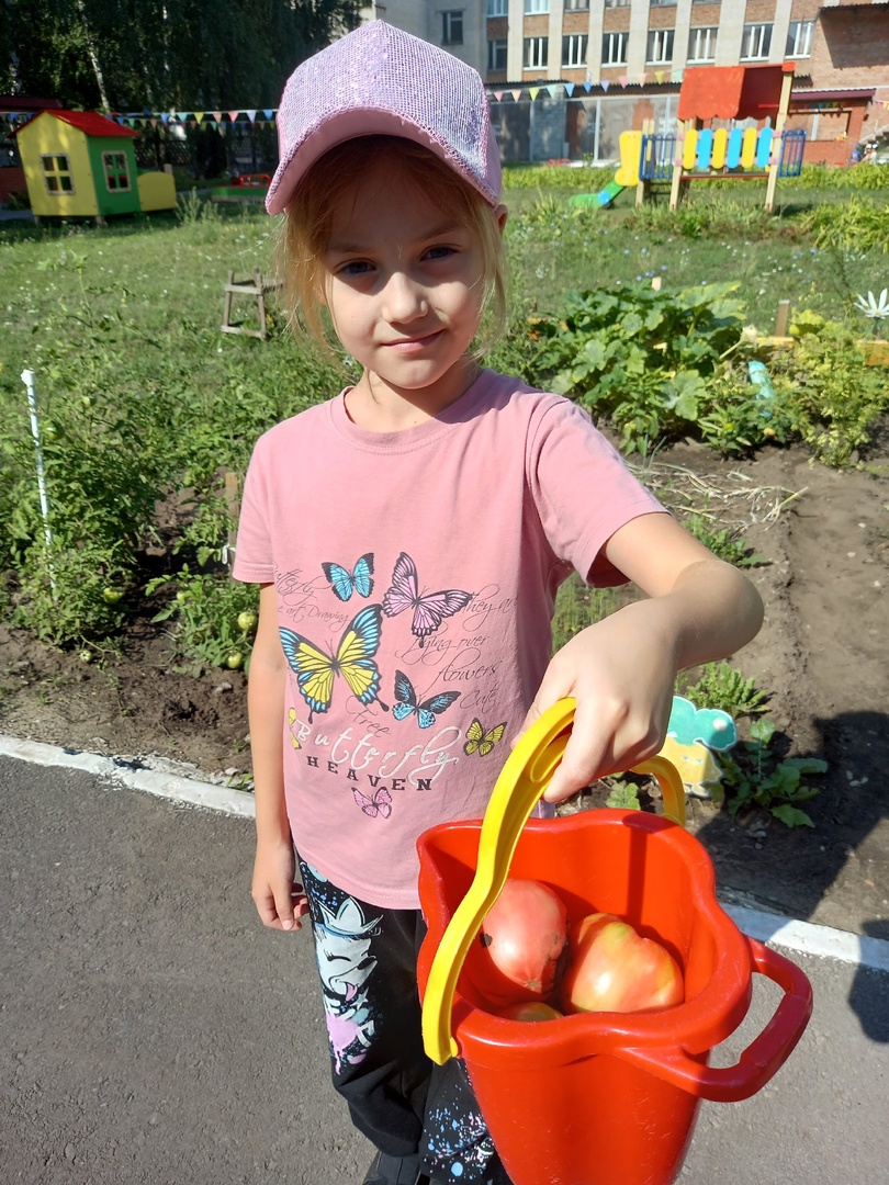 Что за чудо огород